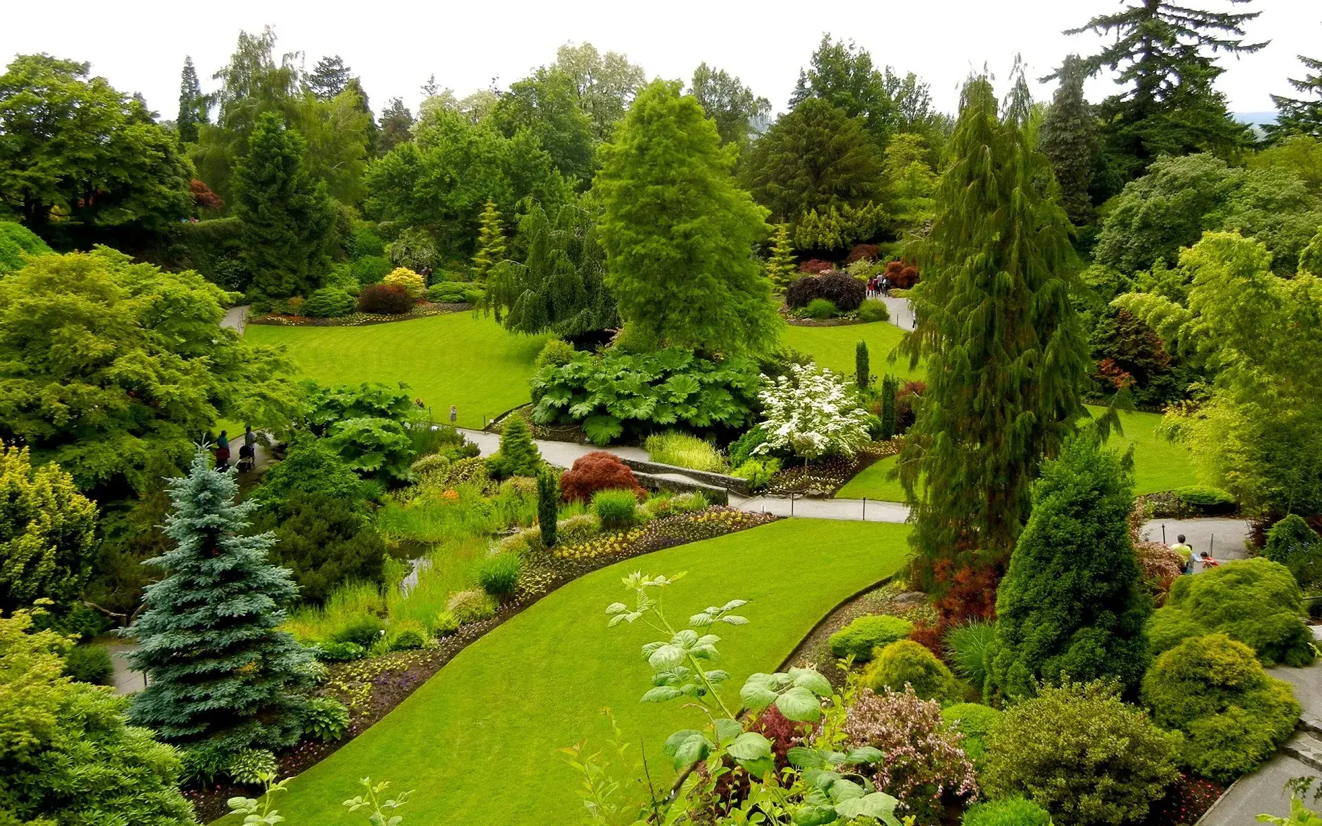 Проектирование ландшафта